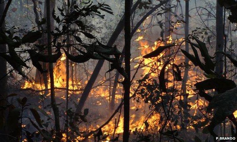 Fire kills 75-year-old farmer