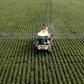 Argentina's soybean industry uses huge quantitities of glyphosate