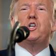 US President Donald Trump says 'let someone else' fight in Syria