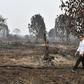 Indonesian President Joko Widodo inspects damage from forest fires in Pekanbaru, on Sulawesi island