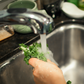 Will the Pesticides in Kale Hurt You?