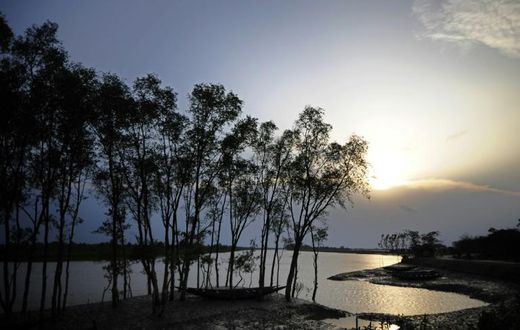 Cyclone Bulbul is set to make landfall near the Sundarbans on the Bangladesh coast