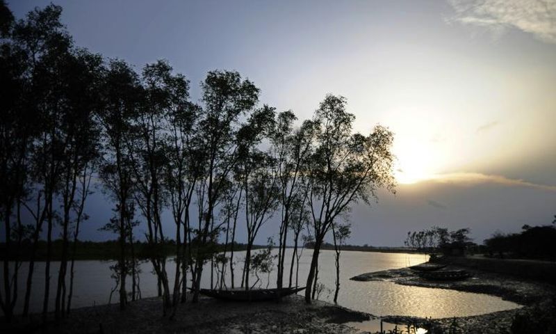 Cyclone Bulbul is set to make landfall near the Sundarbans on the Bangladesh coast
