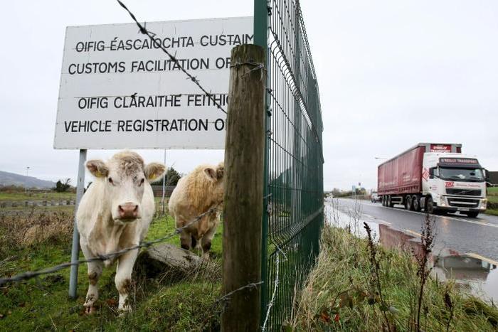 (FILES) In this file photo taken November 14, 2018, cows stands under a sign at a disused Irish border vehicle registration and customs office outside Dundalk, Ireland, near the border crossing with Northern Ireland; the issue of how to respect EU rule...