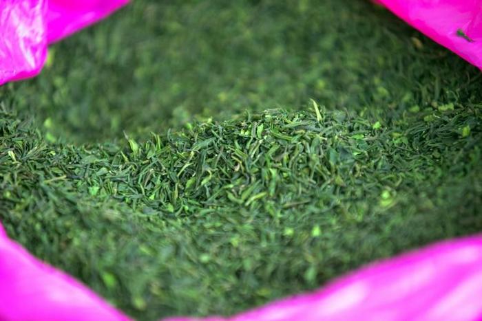 Ethiopia's state-run Substance Rehabilitation Centre tackles khat usage, in a country where chewing the leafy stimulant is commonplace