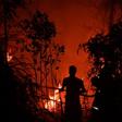 The culprit behind the smog-belching blazes raging in Indonesia are usually illegal fires set to clear land for farming