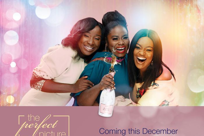 Shirley Frimpong-Manso announces "The Perfect Picture" sequel after a decade