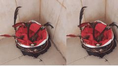 Impeached Nigerian governor forgets to pick his juju from the office as he hands over