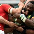 South Africa and Wales played each other at the World Cup four years ago, with the Boks edging the Welsh 23-19 in the quarter-finals at Twickenham