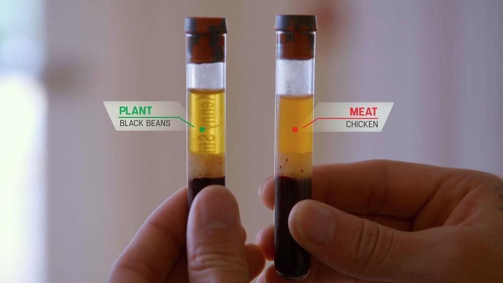 Fact-Checking the Game Changers Movie