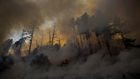 California Fires Fanned by Strong Winds