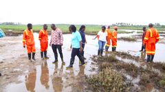National Malaria Control Programme manager inspects Zoomlion’s mapped mosquito breeding sites