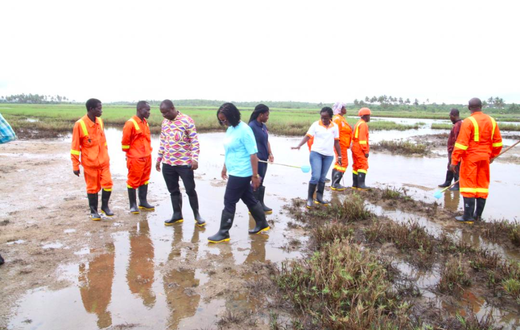 National Malaria Control Programme manager inspects Zoomlion’s mapped mosquito breeding sites
