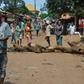 Demonstrations have been held in Guinea against constitutional reforms that critics say aim to let President Alpha Conde run for a third term