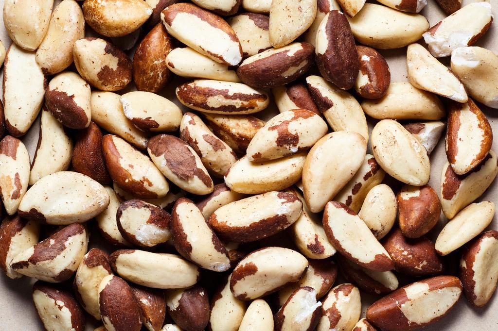 10 Foods with Healthy Fat You Should Eat