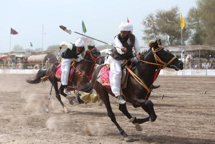 The cavalry sport of tent-pegging requires a mounted horseman to pierce and pick up a peg from the ground at a full gallop