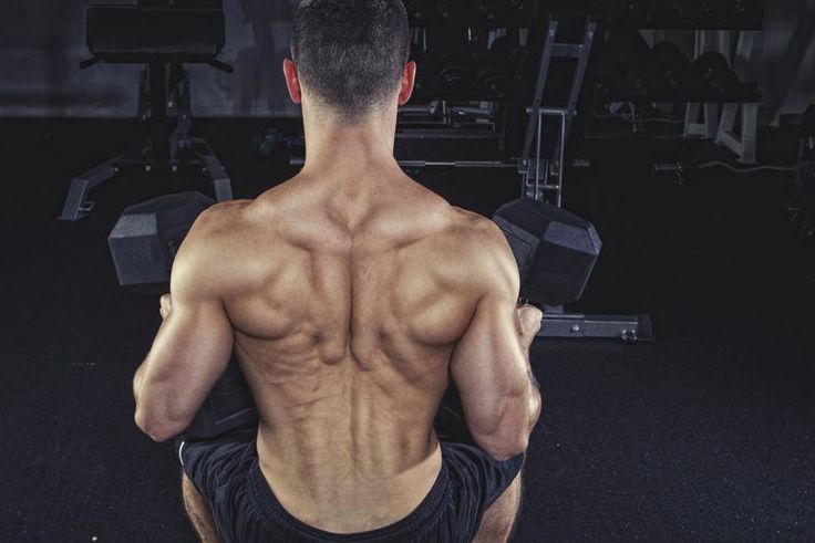 How to Pull Off This Badass Dumbbell Seal Row