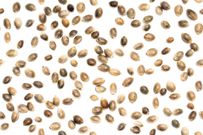 10 Foods with Healthy Fat You Should Eat