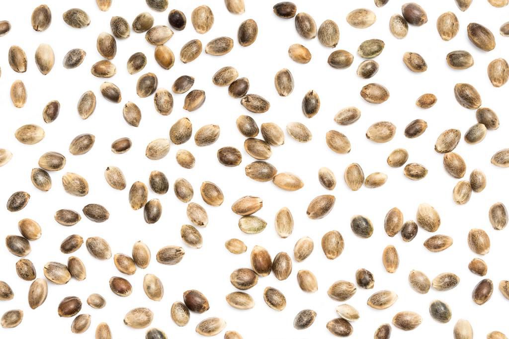 10 Foods with Healthy Fat You Should Eat