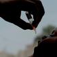 Over the past three decades the world has made great strides in the battle against polio, with only 33 cases reported worldwide in 2018