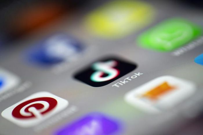 TikTok said it had removed videos and deleted accounts on the platform associated with the Islamic State group