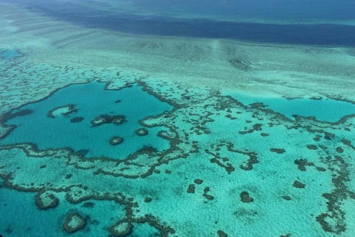 Climate change and the run-off of agricultural pollutants are threatening the future of the Great Barrier Reef
