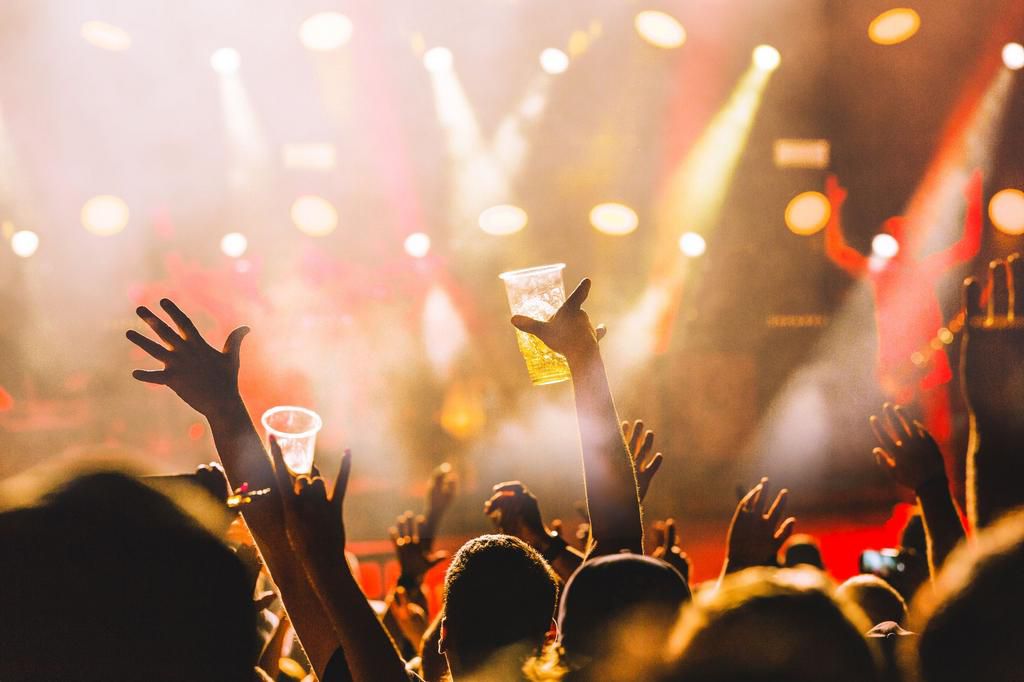 Concert crowd, concert alcohol, alcohol concert, festival beer, party alcohol, beer, concert beer