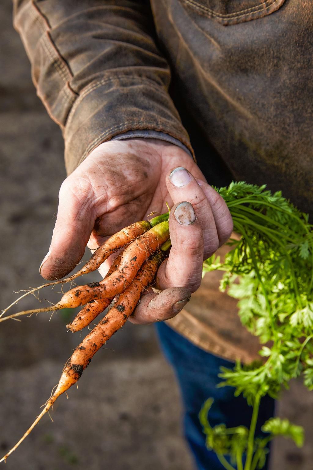 Who Will Save the Future of Food?