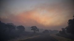 Should You Wear a Face Mask for Wildfire Smoke?