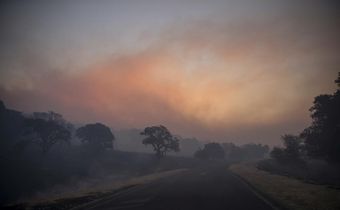 Should You Wear a Face Mask for Wildfire Smoke?