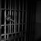 81-year-old man bags 25 years imprisonment for manslaughter