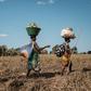 Evacuated women walked to a shelter after collecting maize on the ground which was under flooded water because of Cyclone Idai