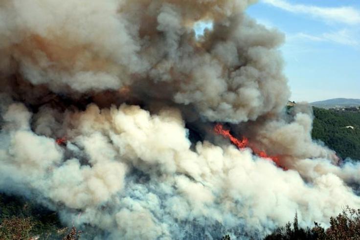 Forest fires have erupted in large swathes of land in Lebanon and Syria