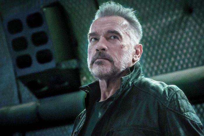 Arnold's New Terminator Diet and Fitness Routine