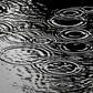 heavy showers hit Morocco's Taroudant region late in the day