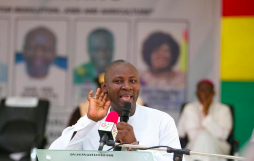 Dr. Ibrahim Anyars Imoro, NABCO CEO
