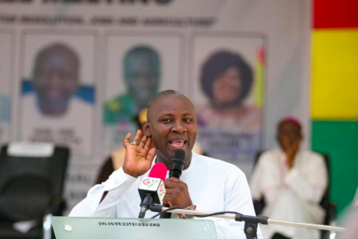 Dr. Ibrahim Anyars Imoro, NABCO CEO