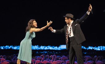 Review: Marisa Tomei Braves a Typhoon in 'The Rose Tattoo'