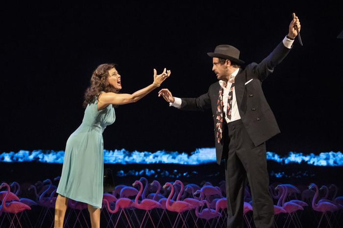 Review: Marisa Tomei Braves a Typhoon in 'The Rose Tattoo'