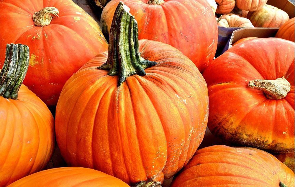 Pumpkin nutrition and cooking with pumpkins