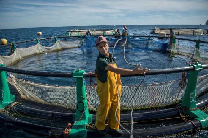 Aquaculture offers hope to struggling fishermen in the Moroccan city of M'diq