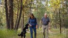 She Quit Her Job. He Got Night Goggles. They Searched 57 Days for Their Dog.