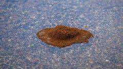 Hurricane Dorian Swamps North Carolina's Outer Banks