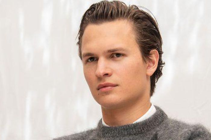 Ansel Elgort Wants to 'Have Love' With Many People