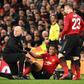 Manchester United striker Anthony Martial has pulled out of the France squad with injury