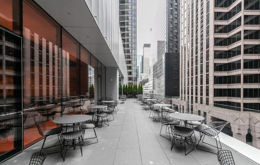 Braving MoMA: What to Know Before You Enter