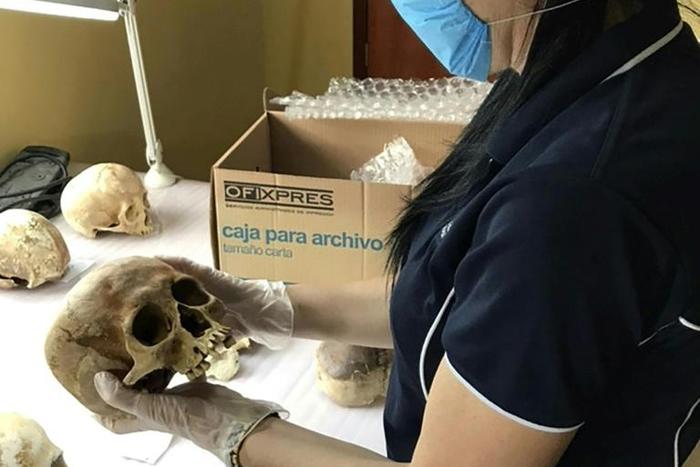 Researcher Alyson Wilson studied the movements of a corpse over 17-months and found humans don't exactly rest in peace