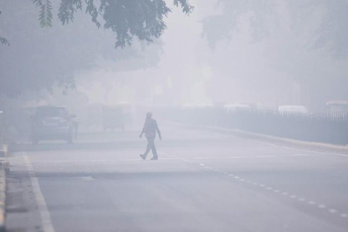 India's top court ordered a complete halt to stubble burning around Delhi as a lethal smog blanketed the capital