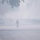 India's top court ordered a complete halt to stubble burning around Delhi as a lethal smog blanketed the capital