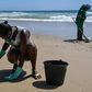 Council workers scrape spilled crude off the beach in Itapuama in northeastern Brazil as the country rushes to prepare for the peak tourism season